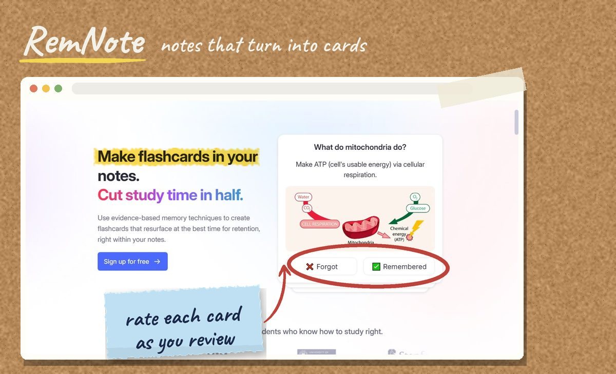 RemNote’s website demonstration of a flashcard review.