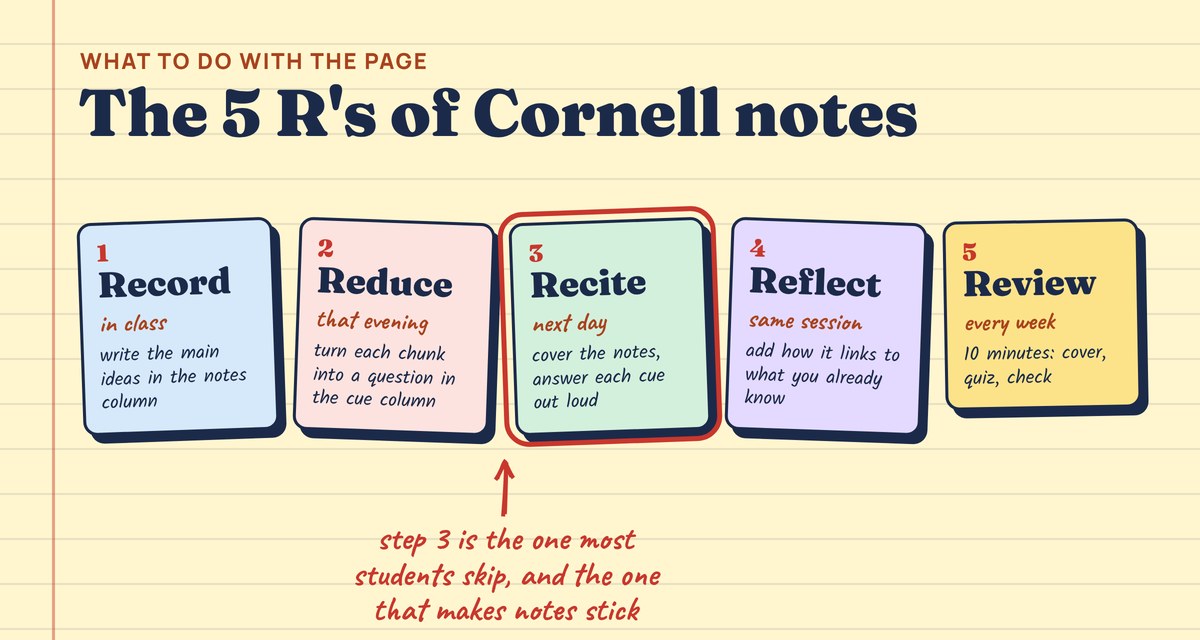 Five cards: Record in class, Reduce to questions that evening, Recite with notes covered the next day, Reflect, and Review every week. Recite is circled as the step most students skip.
