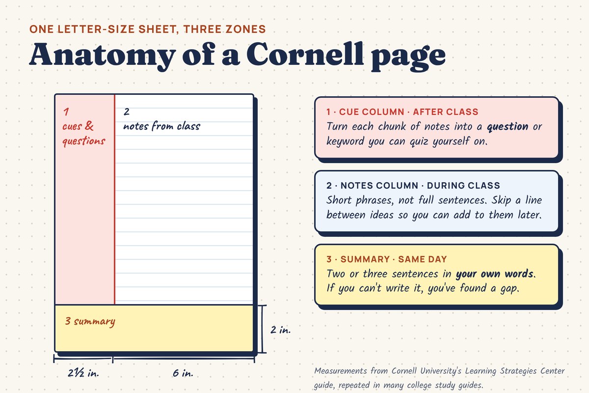To-scale diagram of a letter-size Cornell notes page: a 2.5-inch cue column on the left, a 6-inch notes column and a 2-inch summary area at the bottom.