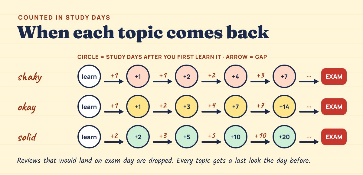 Review gaps by confidence: shaky topics after 1, 2, 4, 7 study days; okay after 1, 3, 7, 14; solid after 2, 5, 10, 20.